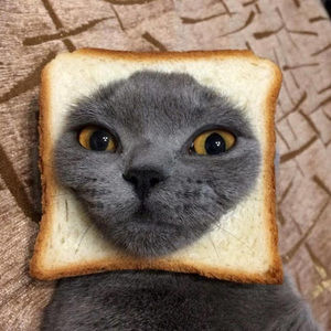 Meet your Posher, Daniela